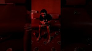 мико муравей « петухи мико разбушевался «