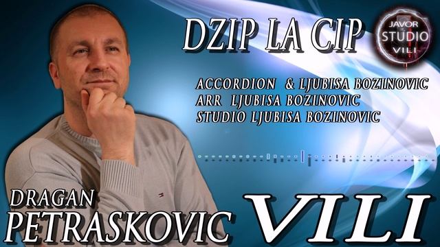 Dragan Petraskovic Vili DZIP LA CIP смотреть онлайн