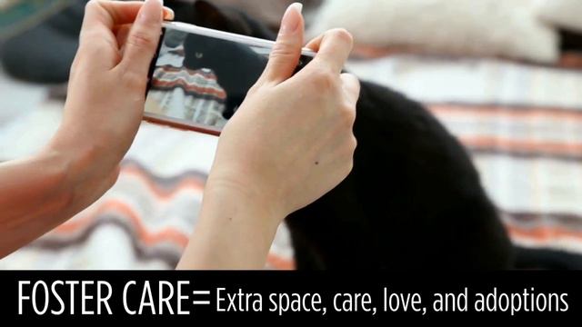 No Kill 101 смотреть онлайн