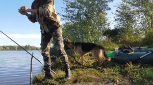 Осенняя рыбалка.Запекли рыбу на углях.