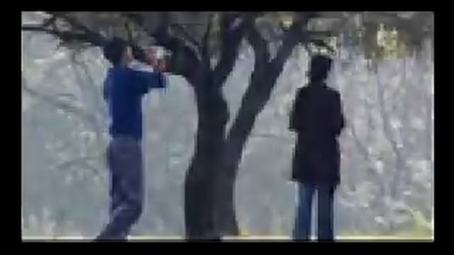 тат.mp4 смотреть онлайн