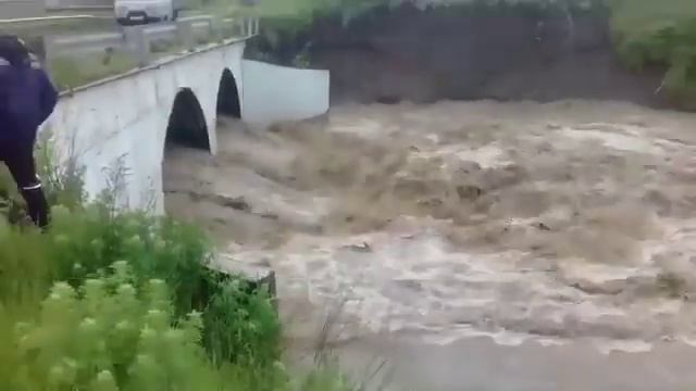 Темнолесская смотреть онлайн