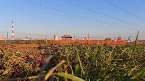 kayo mini yx125em 14/12