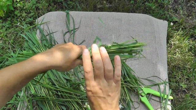 Игрушка из травы БЫЧОК. Мастер-класс смотреть онлайн