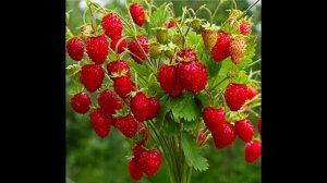 Эффективные маски для лица