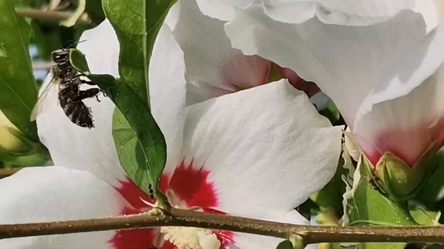 ❤️Божественно красивая мелодия... Весны в душе... смотреть онлайн