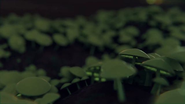 Glowing Mushroom Time-lapse смотреть онлайн