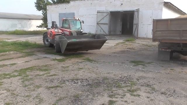 Еду на Тракторе ДМТЗ 404 Покупать Пшеницу ! Погрузка Пшеницы Погрузчиком Manitou ! смотреть онлайн