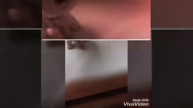 Клип на песню tuesday смотреть онлайн