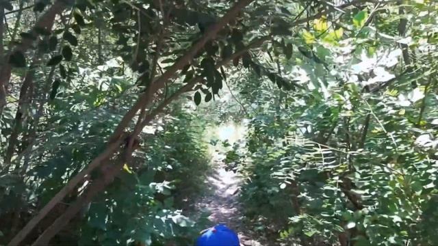 приехали отдохнуть на дачу#жарим шашлыки #купается на речке"Ахтуба ". смотреть онлайн