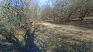 #Крым#Перевальное. 26 02 20г. ПЕРВЫЕ ПОДСНЕЖНИКИ В ГОРАХ КРЫМА#Кизилкоба#Прогулка