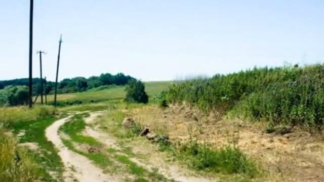 В поиске 2010.avi смотреть онлайн