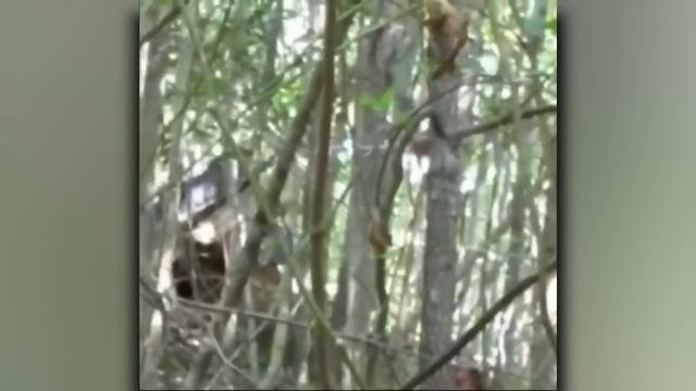 What Scientists Just Discovered At The Grand Canyon TERRIFIES The Whole World смотреть онлайн