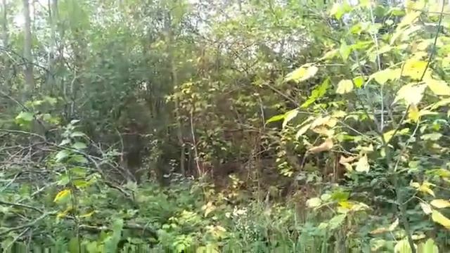 ОРАХ смотреть онлайн