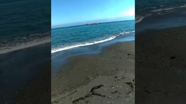 Горбуша идет на нерест. смотреть онлайн