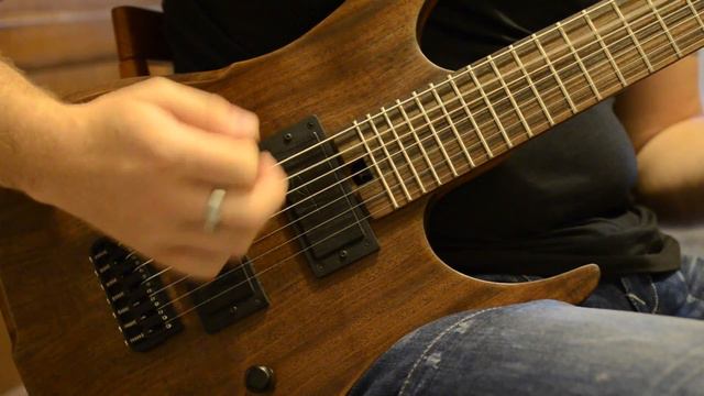 'Hufschmid Tantalum' 7 string baritone - goofing arround ! смотреть онлайн