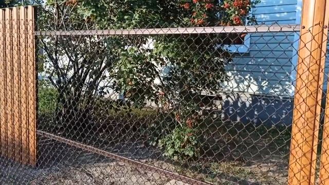 2 ЧАСТЬ ПРОДОЛЖАЮ СТРОИТЬ СВОИМИ РУКАМИ ЕВРОЗАБОР смотреть онлайн