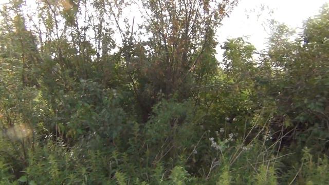 в деревне Чертово смотреть онлайн