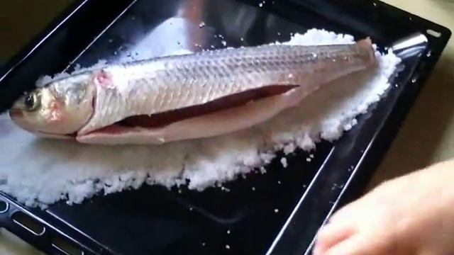Рецепт - Рыба запеченная в соли ( быстро и очень вкусно ) смотреть онлайн