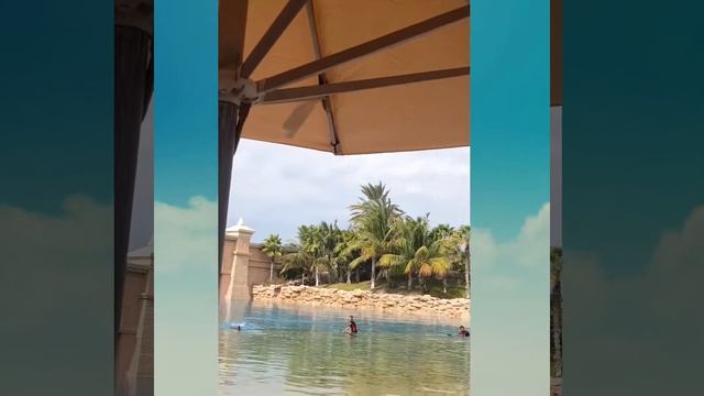 Dolphin Bay @Atlantis Hotel Dubai -Dolphin Show - Swim With The Dolphin