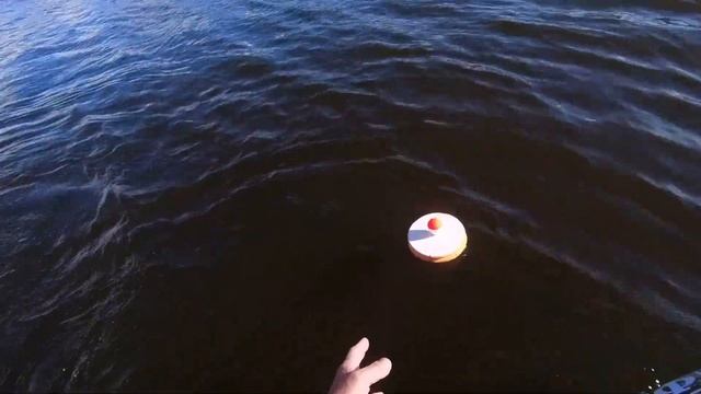 Ч . 3 Вот и первая щука на кружки . Август . Лето Рыбалка 2023 смотреть онлайн