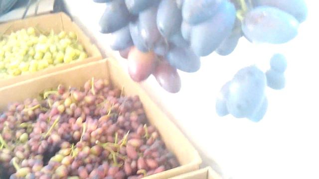 Виноград урожай 2018 года смотреть онлайн