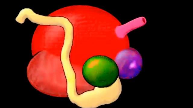 Digestive Systems of Livestock: Anatomy смотреть онлайн