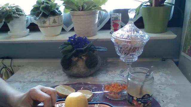 Татьяна. Солнечная смесь для здоровья. смотреть онлайн