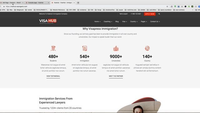VisaHub - Immigration Consulting WordPress Theme Prebuilt Section | King Composer смотреть онлайн
