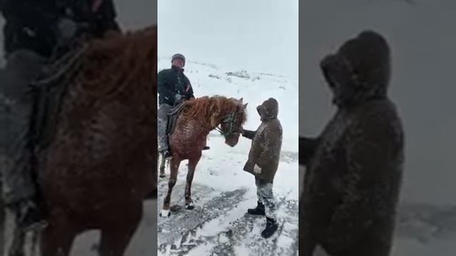 Отчайные ребята. смотреть онлайн