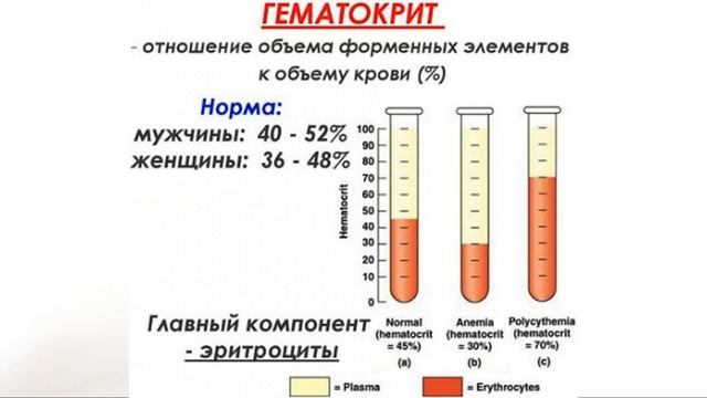 Гематокрит - что это такое смотреть онлайн