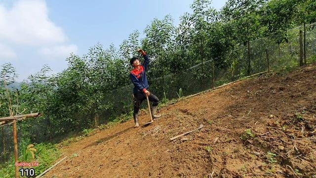 First Planting Season of the Year, Building Life, Episode 110 смотреть онлайн