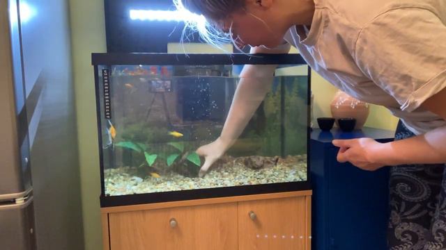 Самый красивый аквариум в мире смотреть онлайн