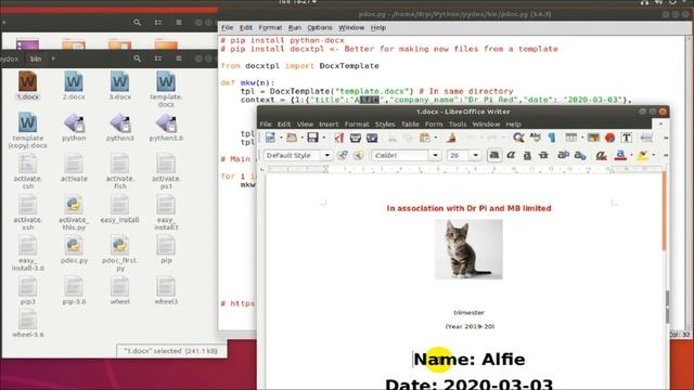 Python code to dynamically create Word documents based on 1 template file | how to use 'docxtpl' смотреть онлайн