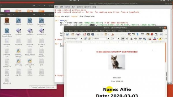 Python code to dynamically create Word documents based on 1 template file | how to use 'docxtpl'