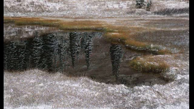 тонзилгон н цена смотреть онлайн