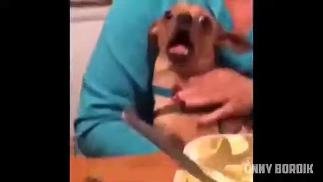 Ляля. смотреть онлайн
