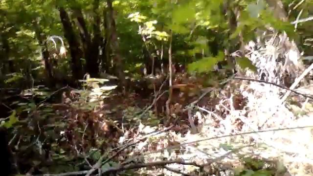 S.V.O.R.A. OFFROAD GROUP TRAIL CLEANUP смотреть онлайн