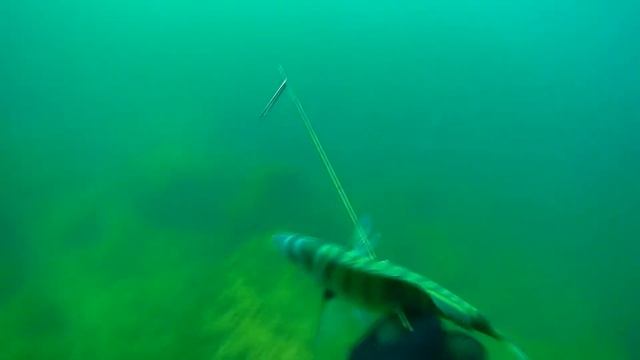 РДП 90 VS зубарик смотреть онлайн