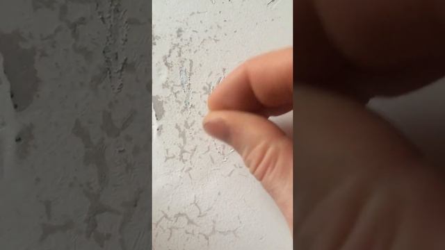 Не покупайте эмаль vixen смотреть онлайн