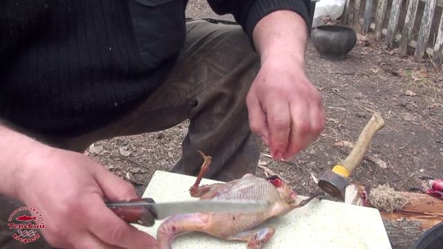 Как правильно потрошить утку (18+). / How to gut a duck. смотреть онлайн