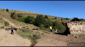 Սարվորներին Տարանք Տուն-Քոչըցրինք-Շամշադինի Համը- Шамшадин