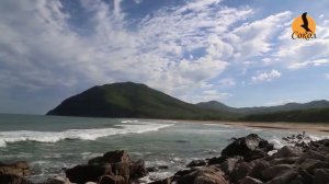 Зов Тачингоузы (бухта Проселочная). Приморский край