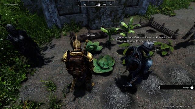 Let's Play: Skyrim Anniversary Edition (Ultra Modded) #10 Touring Skyrim! смотреть онлайн