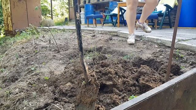 ЖИВОТ НА СЕЛО ЗАСАЖДАНЕ НА ЦВЕТЯ НА ВИЛАТА смотреть онлайн