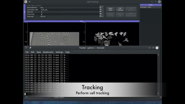 Usiigaci: Label-free instance-aware cell tracking in PCM enabled by machine learning смотреть онлайн