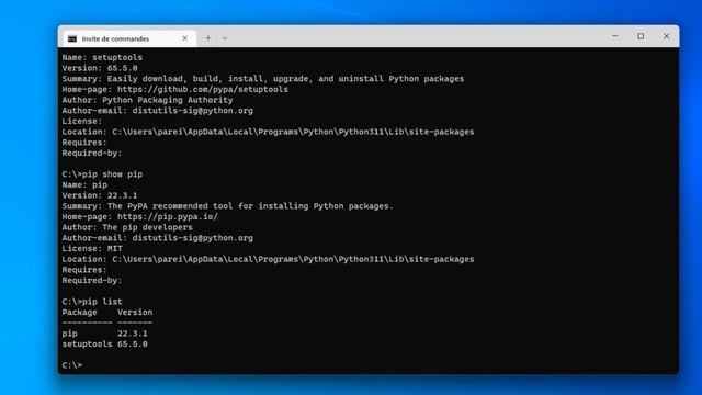 Formation Python : Découvrir pip sous Python - Vidéo Tuto смотреть онлайн