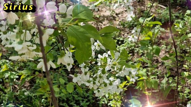 27 февраля день Кирилла: что категорически нельзя делать смотреть онлайн