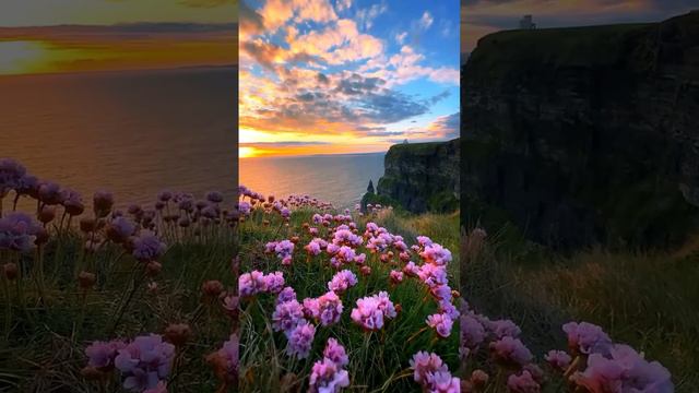 IMG_0686 смотреть онлайн