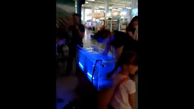 Гарра руфа от компании Doctorfish ИП Волков А А смотреть онлайн